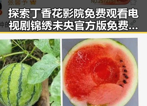 探索丁香花影院免费观看电视剧锦绣未央官方版免费版中的娱乐魅力