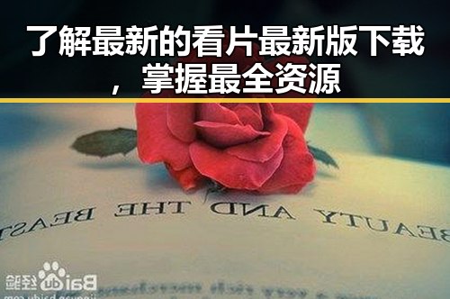 了解最新的看片最新版下载,掌握最全资源