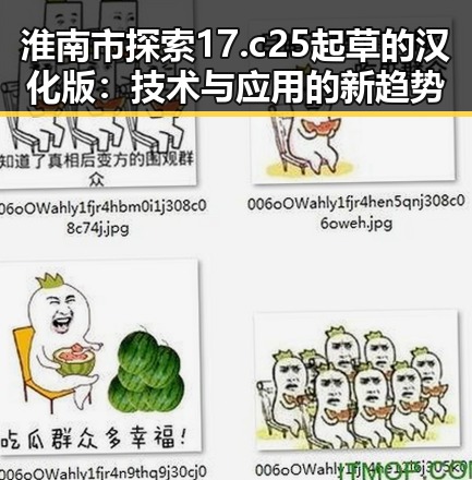 淮南市探索17.c25起草的汉化版：技术与应用的新趋势