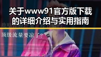 关于www91官方版下载的详细介绍与实用指南