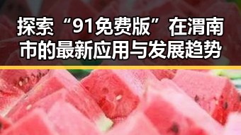 探索“91免费版”在渭南市的最新应用与发展趋势