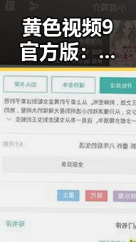 黄色视频9官方版：从争议到合规的最新发展