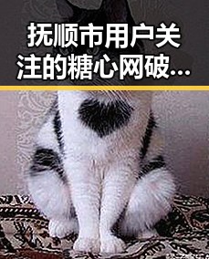 抚顺市用户关注的糖心网破解版最新动态