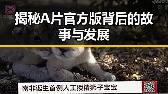 揭秘A片官方版背后的故事与发展