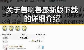 关于鲁啊鲁最新版下载的详细介绍