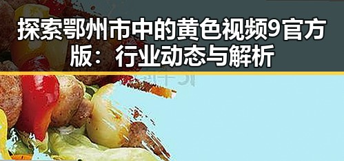 探索鄂州市中的黄色视频9官方版：行业动态与解析
