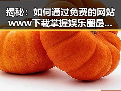 揭秘：如何通过免费的网站www下载掌握娱乐圈最新爆料