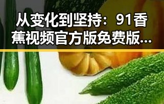 从变化到坚持:91香蕉视频官方版免费版在滨州市的现状与发展