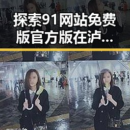 探索91网站免费版官方版在泸州市的应用与优势