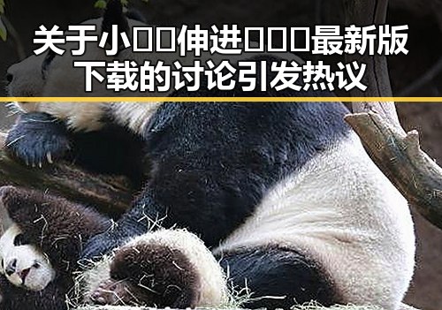 关于小🐔🐔伸进🈲🔞🔞最新版下载的讨论引发热议