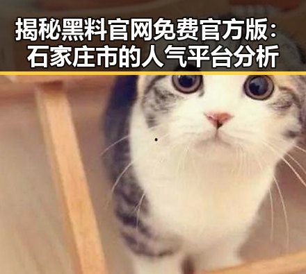 揭秘黑料 官网免费官方版:石家庄市的人气平台分析