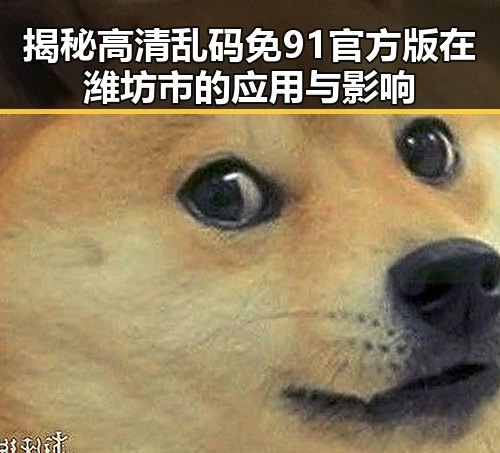 揭秘高清乱码免91官方版在潍坊市的应用与影响
