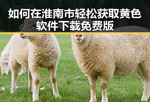 如何在淮南市轻松获取黄色软件下载免费版