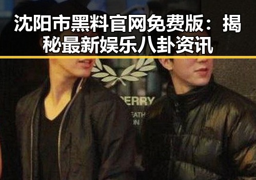 沈阳市黑料 官网免费版:揭秘最新娱乐八卦资讯