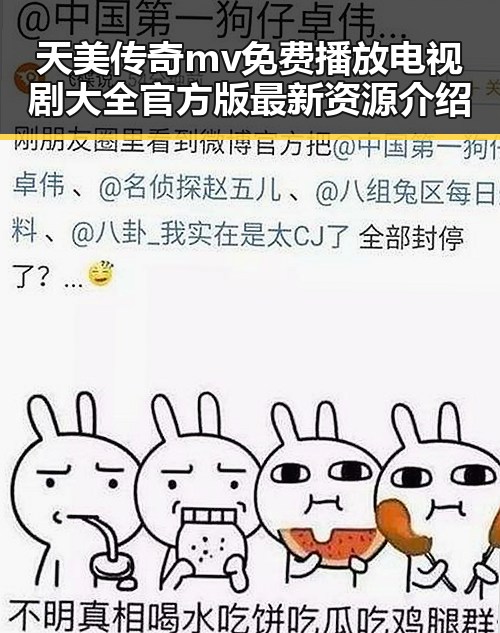 天美传奇mv免费播放电视剧大全官方版最新资源介绍