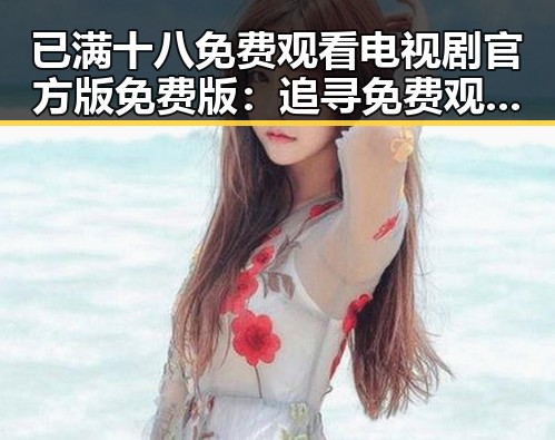 已满十八免费观看电视剧官方版免费版:追寻免费观看资源的方法与注意事项