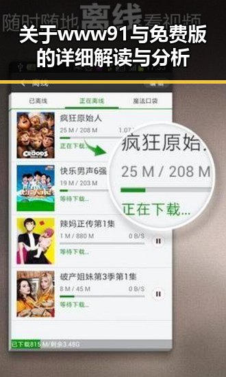 关于www91与免费版的详细解读与分析