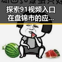 探索91视频入口在盘锦市的应用与发展变化