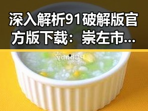 深入解析91破解版官方版下载:崇左市用户的最佳选择