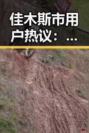 佳木斯市用户热议:西瓜视频免费免费版下载的最新动态