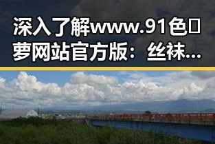 深入了解www.91色😍萝网站官方版:丝袜魅力与潮流解读