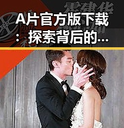 A片官方版下载：探索背后的文化与现状