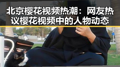 北京樱花视频热潮：网友热议樱花视频中的人物动态