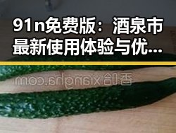 91n免费版:酒泉市最新使用体验与优势分析