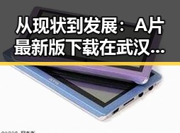 从现状到发展:A片最新版下载在武汉市的应用与趋势