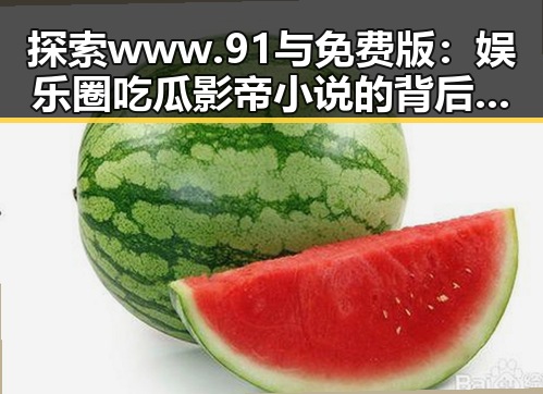 探索 www.91与免费版：娱乐圈吃瓜影帝小说的背后秘密
