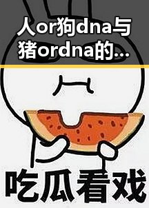 人or狗dna与猪ordna的配合与防治官方版下载：揭示基因配合背后的科学与应用