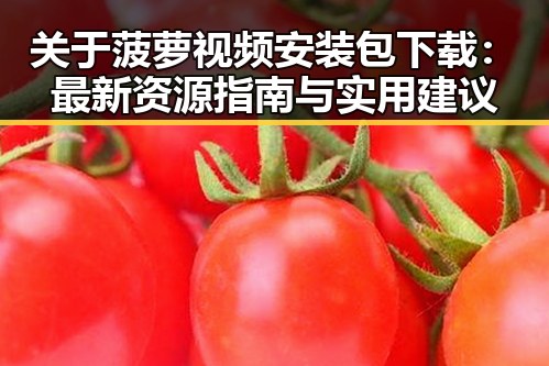 关于菠萝视频安装包下载:最新资源指南与实用建议