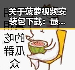 关于菠萝视频安装包下载:最新资源指南与实用建议