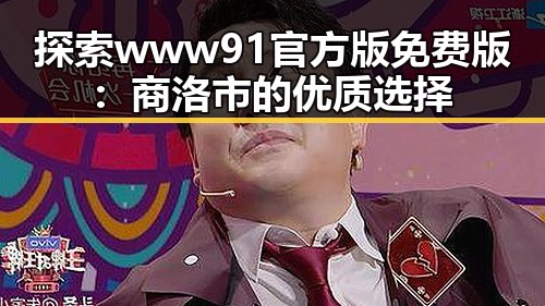 探索www91官方版免费版：商洛市的优质选择