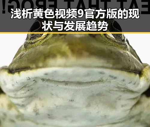 浅析黄色视频9官方版的现状与发展趋势
