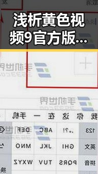 浅析黄色视频9官方版的现状与发展趋势