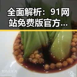 全面解析：91网站免费版官方版带来的最新观影体验