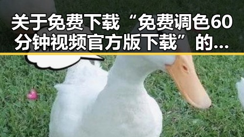 关于免费下载“免费调色60分钟视频官方版下载”的详细指南