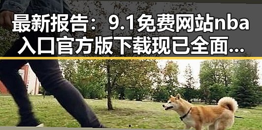 最新报告:9.1免费网站nba入口官方版下载现已全面上线