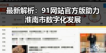 最新解析：91网站官方版助力淮南市数字化发展
