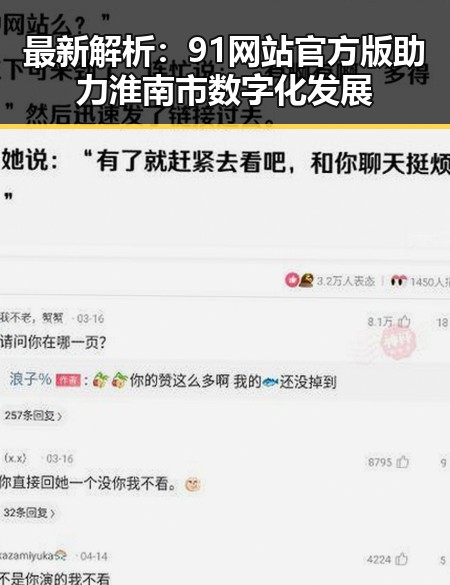 最新解析:91网站官方版助力淮南市数字化发展