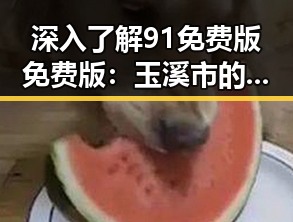 深入了解91免费版免费版:玉溪市的最新实用指南