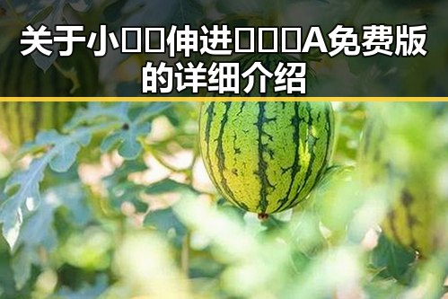 关于小🐔🐔伸进🈲🔞🔞A免费版的详细介绍