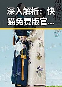 深入解析：快猫免费版官方版在定西市的应用与发展