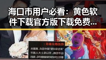 海口市用户必看：黄色软件下载官方版下载免费版指南