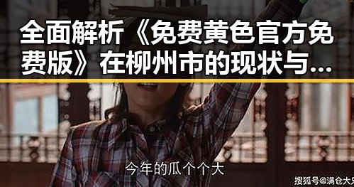 全面解析《免费黄色官方免费版》在柳州市的现状与发展
