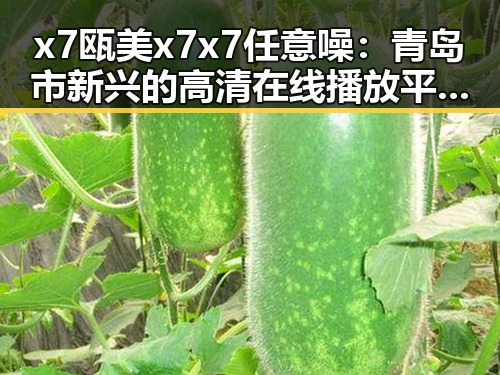 x7瓯美x7x7任意噪:青岛市新兴的高清在线播放平台现状分析