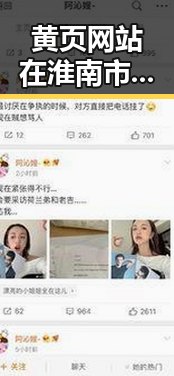 黄页网站在淮南市的应用与发展现状