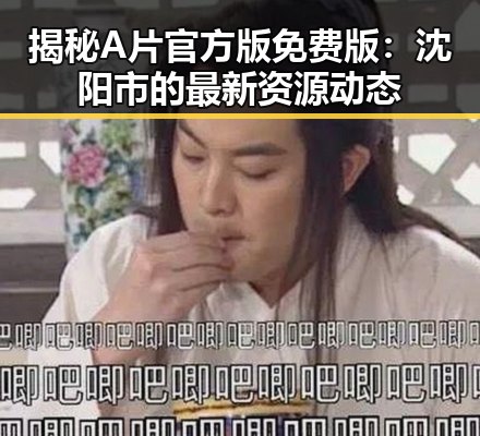 揭秘A片官方版免费版:沈阳市的最新资源动态