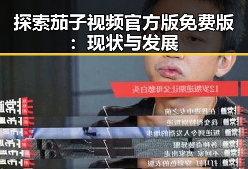 探索茄子视频官方版免费版：现状与发展